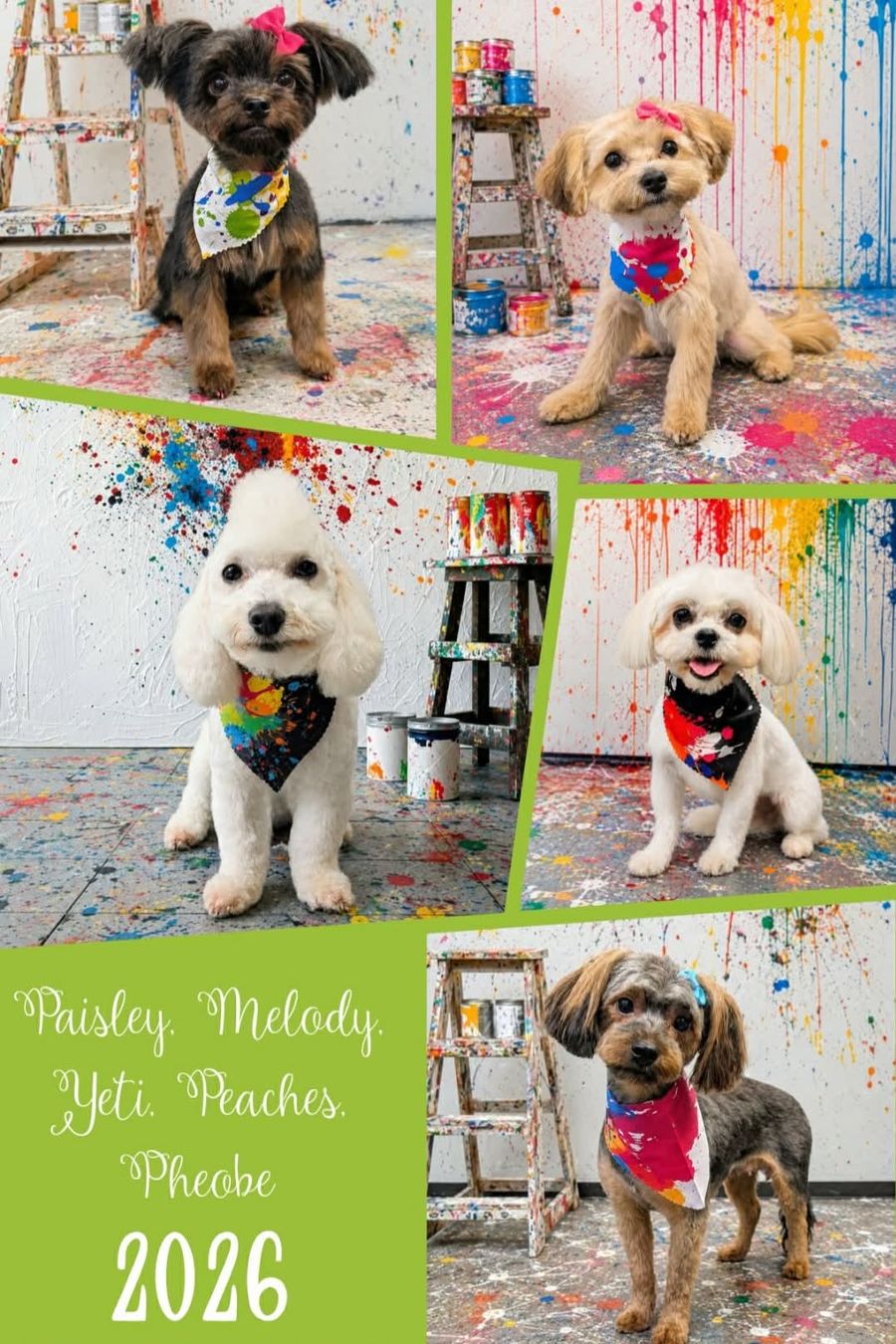 Collage of Paisley, Melody, Yeti, Peaches and Phoebe in a paint-splash photo studio, labeled 2026